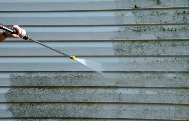 Best Attic Mold Removal  in Kahoka, MO