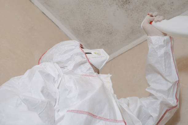 Best Mold Remediation Services  in Kahoka, MO