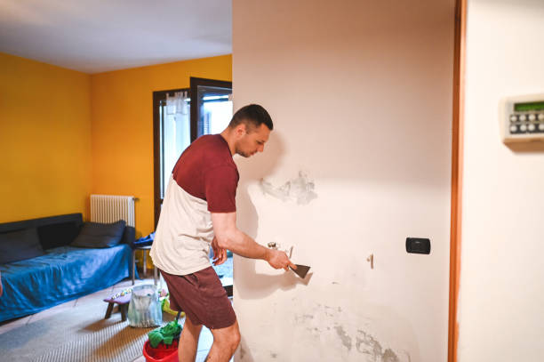 Best Same-Day Mold Removal  in Kahoka, MO